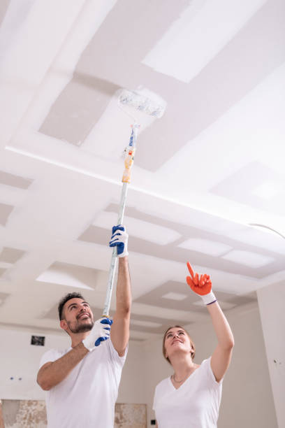 Trusted Athens, OH Mold Removal Experts